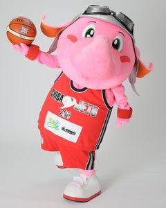 jumbo400x500.jpg