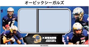 06_train_seaguls.jpg