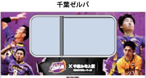 08_train_zelva.jpg