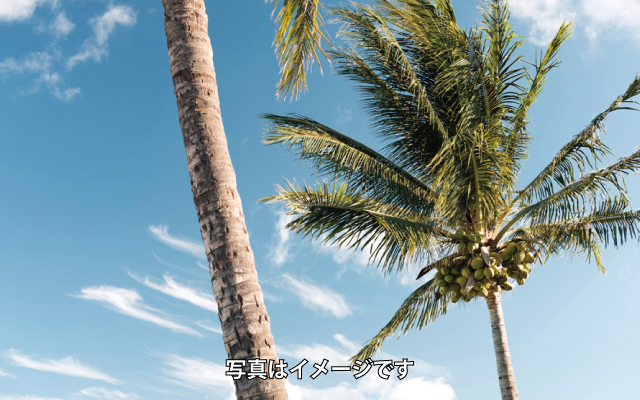 palm.png