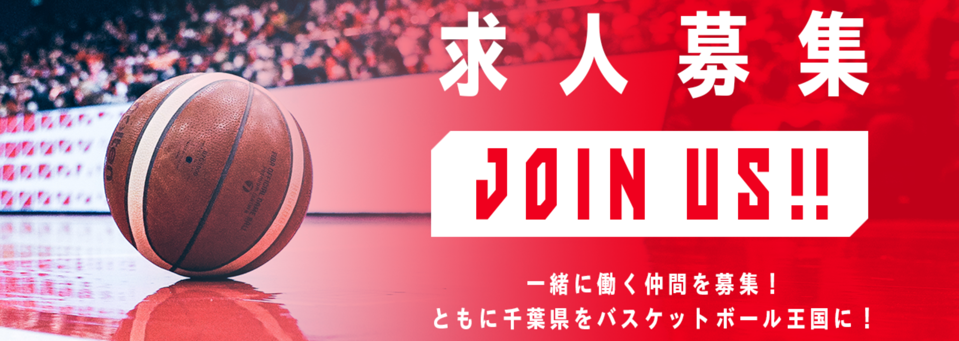 正社員募集_法人営業